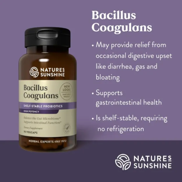 Bacillus Coagulans