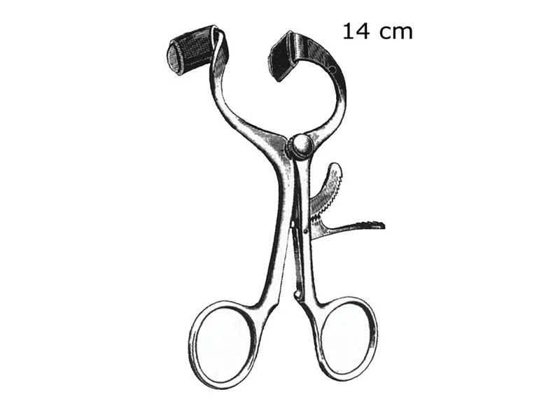 [A00014324] - MOLT Apribocca molt [14 cm] Gima