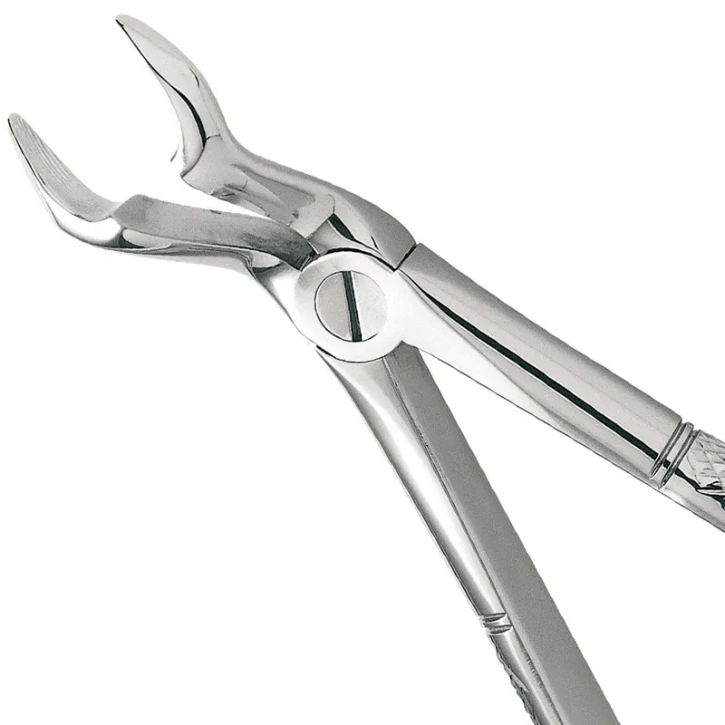 [A00122779] - Pinza estrazione apicale xa67a molari in Consorzio ONDA