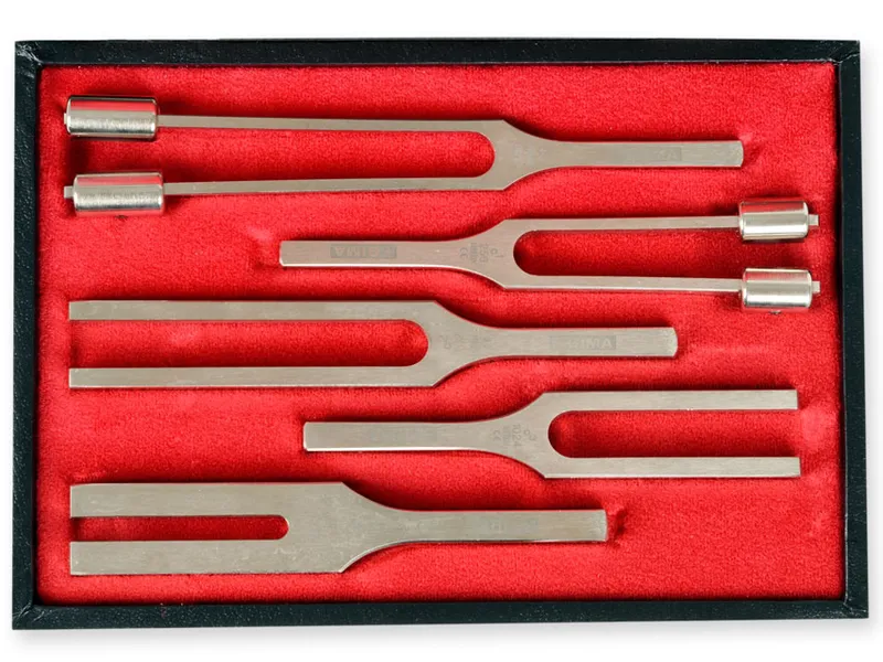 [A00012513] - Trousse diapason lega - 5 pezzi