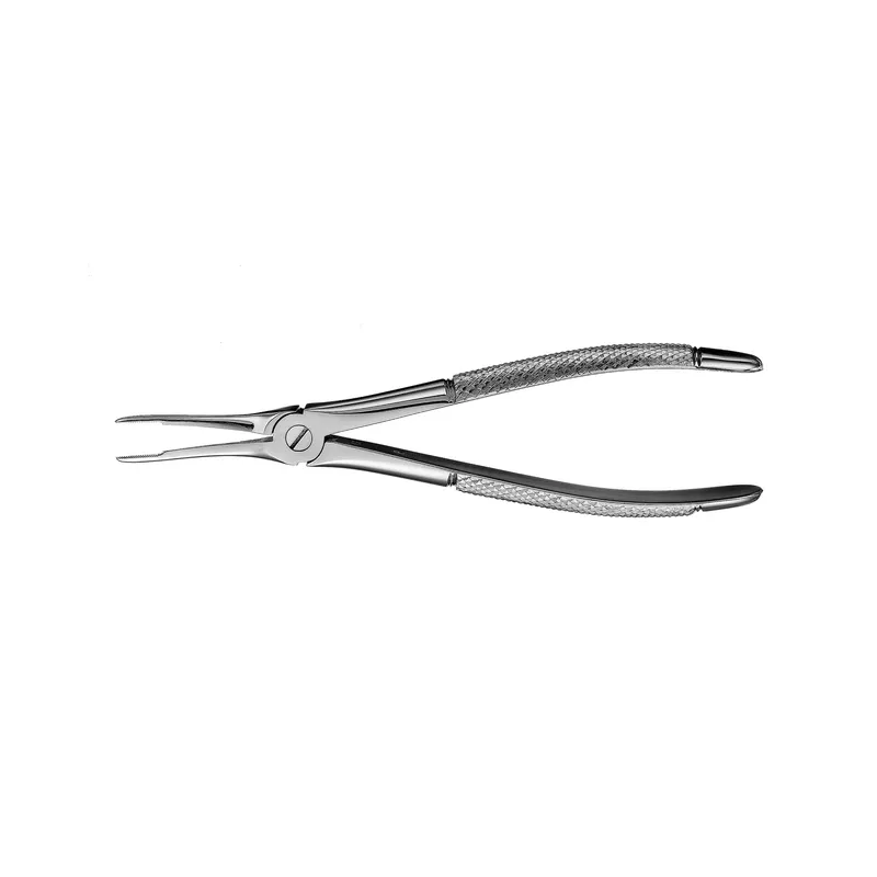 [A00121277] - Pinza europea opaca #49 radici inferiori Consorzio ONDA