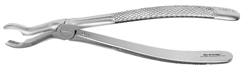 [A00122801] - Pinza europea opaca #67a 3 molari superiori Consorzio ONDA