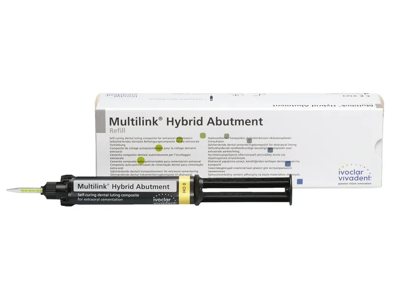 [A00119667] - Multilink hybrid abutment - ho 0 Consorzio ONDA