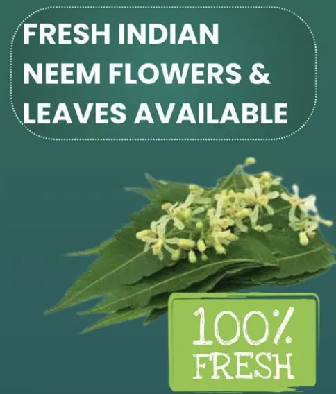 Neem Flowers & Leaves