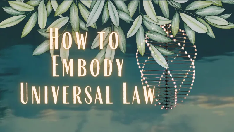 How to Embody Universal Law