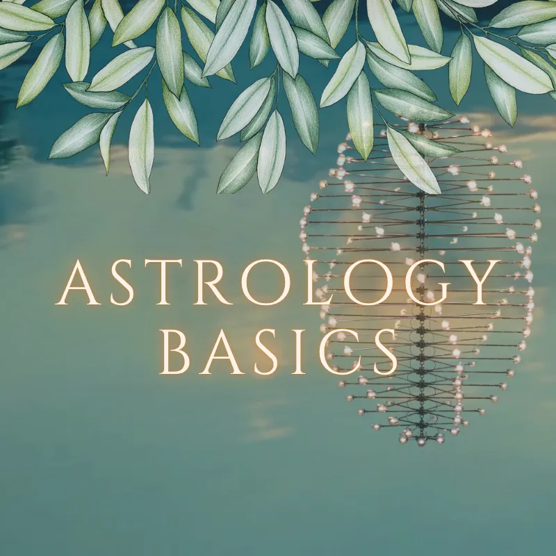 Astrology Basics