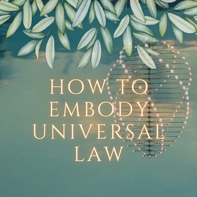 How to Embody Universal Law