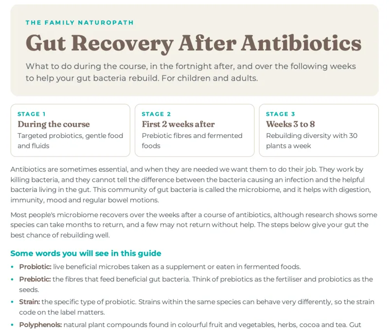 Gut Recovery After Antibiotics FREE DOWNLOAD