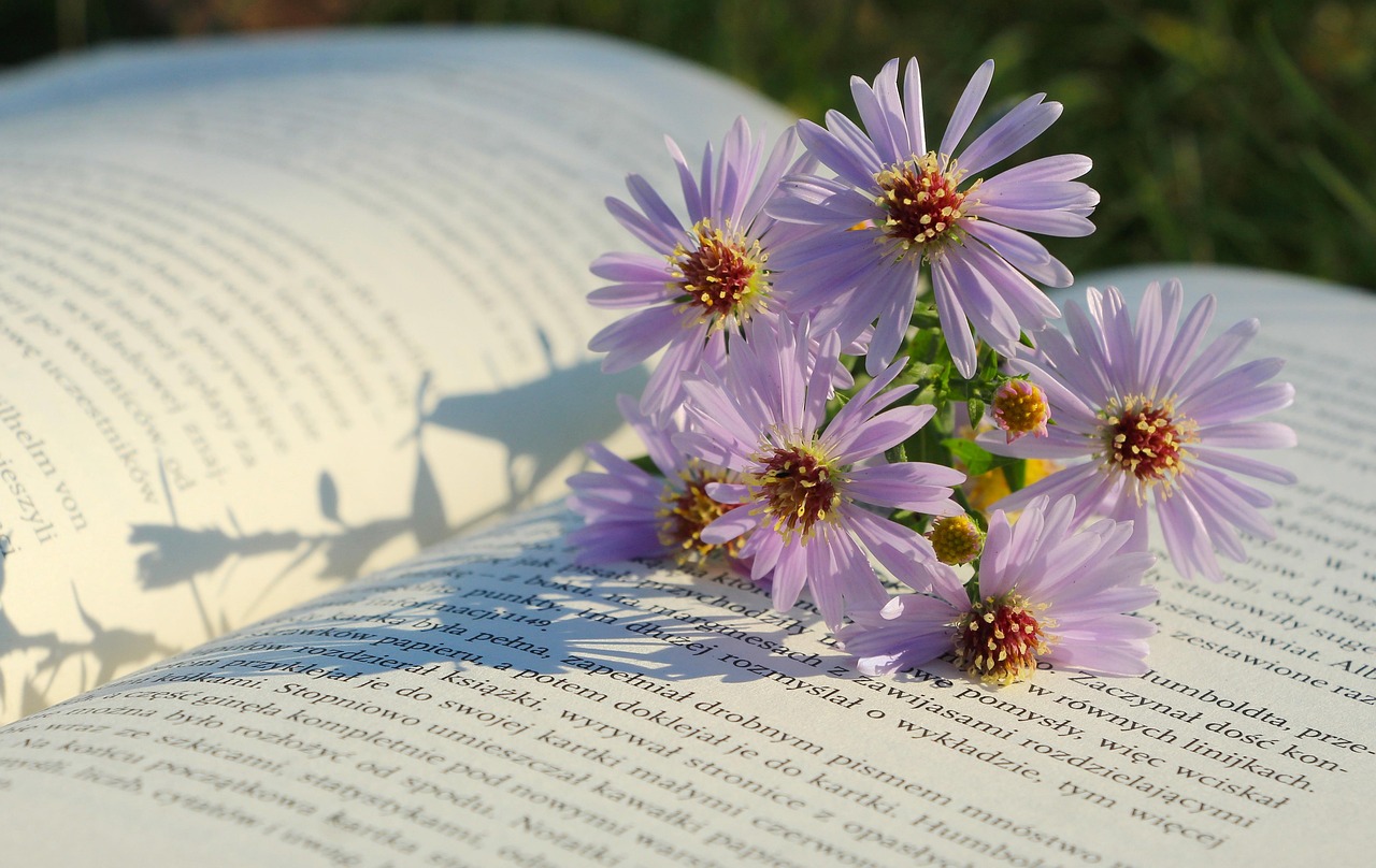 Practitioner Resources