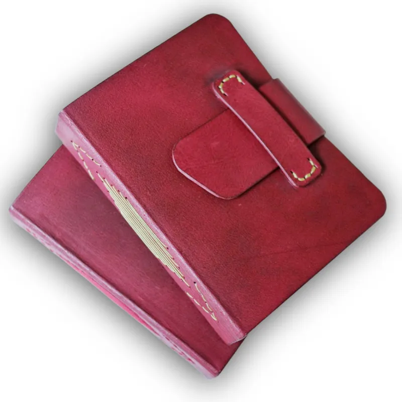 Ink Apothecary Passport Edition | Leather Bound Ink Swatch Journal