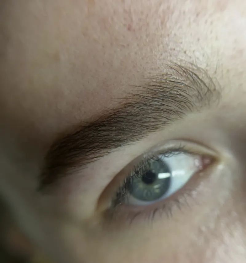 The Ultimate Brow Master: 3-in-1 Training
