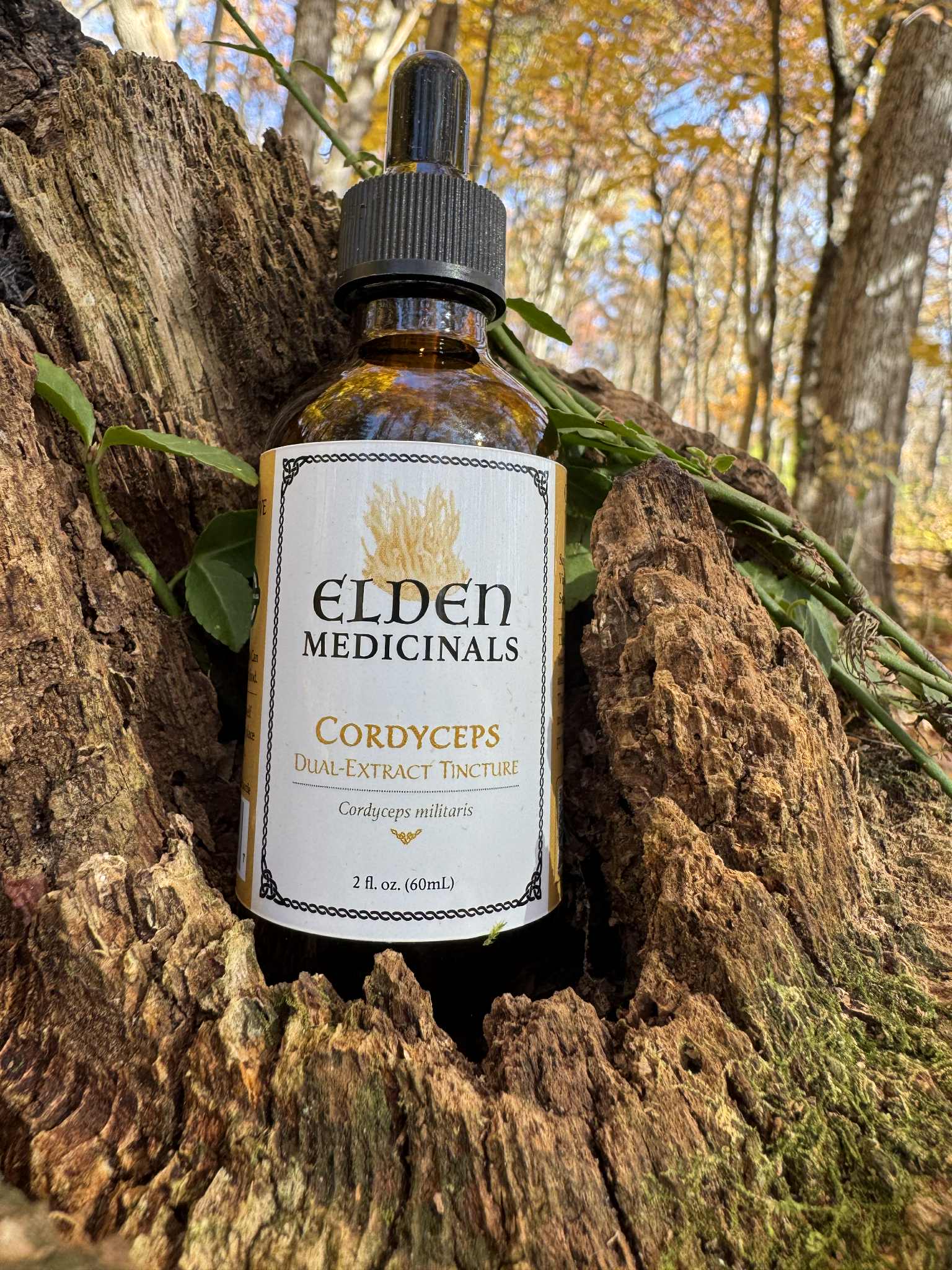 Cordyceps Mushroom Tincture: Organic Cultivated Mushroom Dual-extract for Natural Energy & Endurance Support 