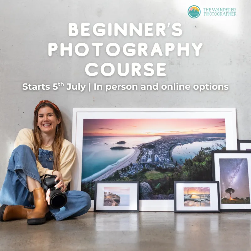 Beginner's Photography Course (In person and online options)