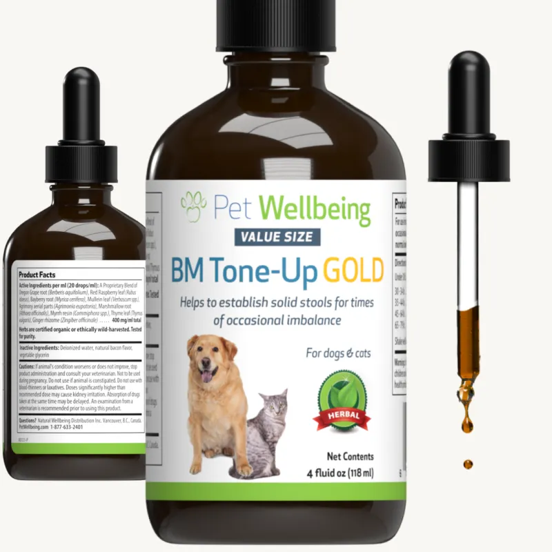 Pet Wellbeing BM Tone-Up Gold for Cats & Dogs