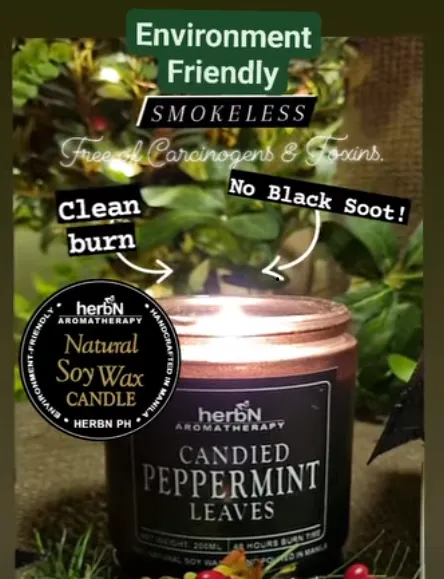 Candied Peppermint Leaves