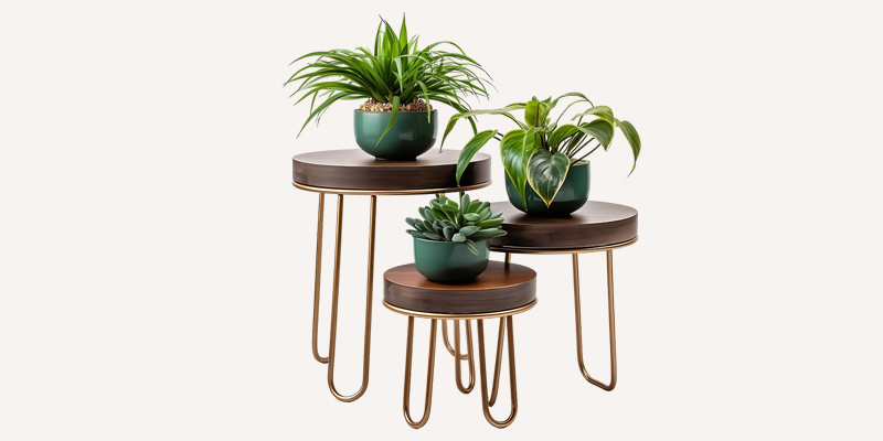 Indoor Decorative Group Plant Set