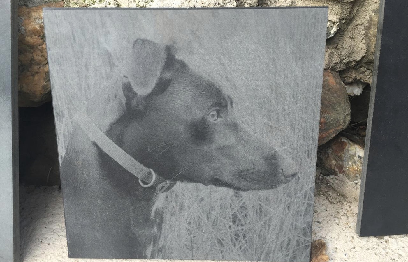 A dog's portrait laser-etched into stone