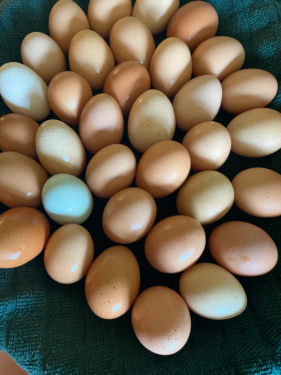 EGGS - ADD ON to your delivery!! DES Moines Metro Only