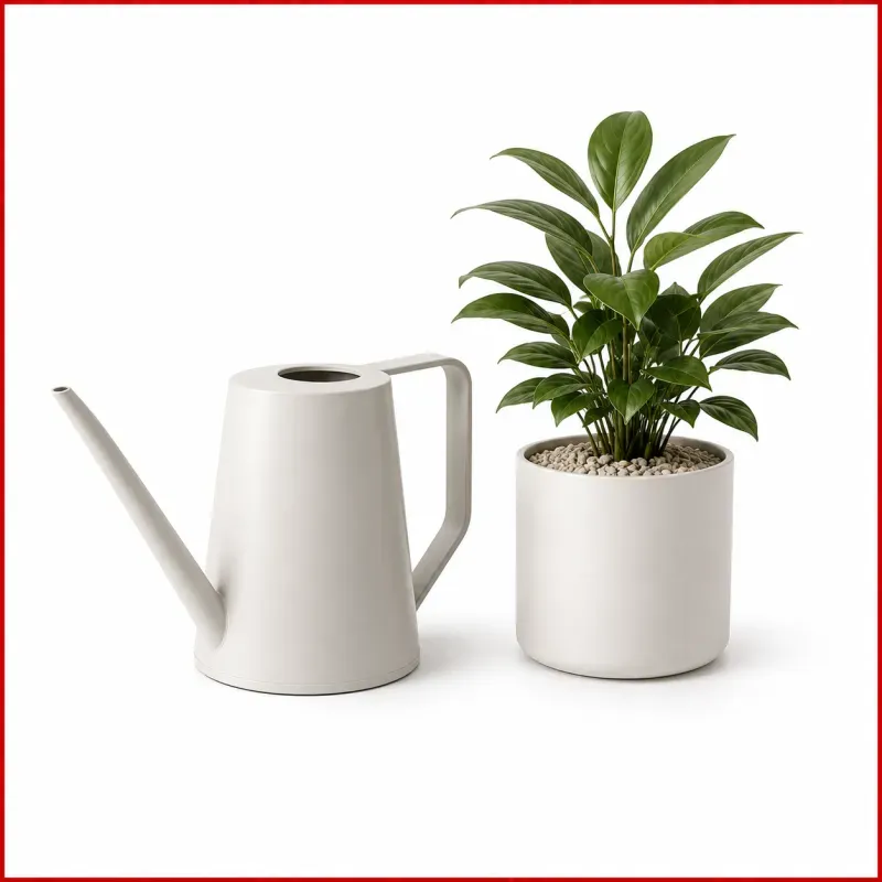 Water Plants