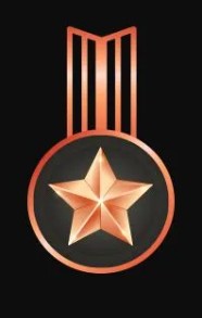 Bronze Sponsorship