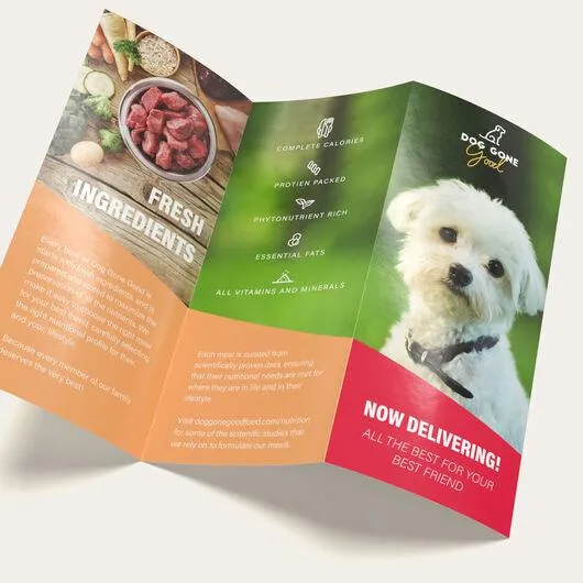 Brochures Trifold on 8.5x11