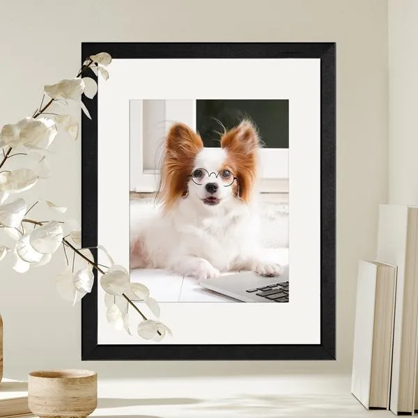 Framed Prints