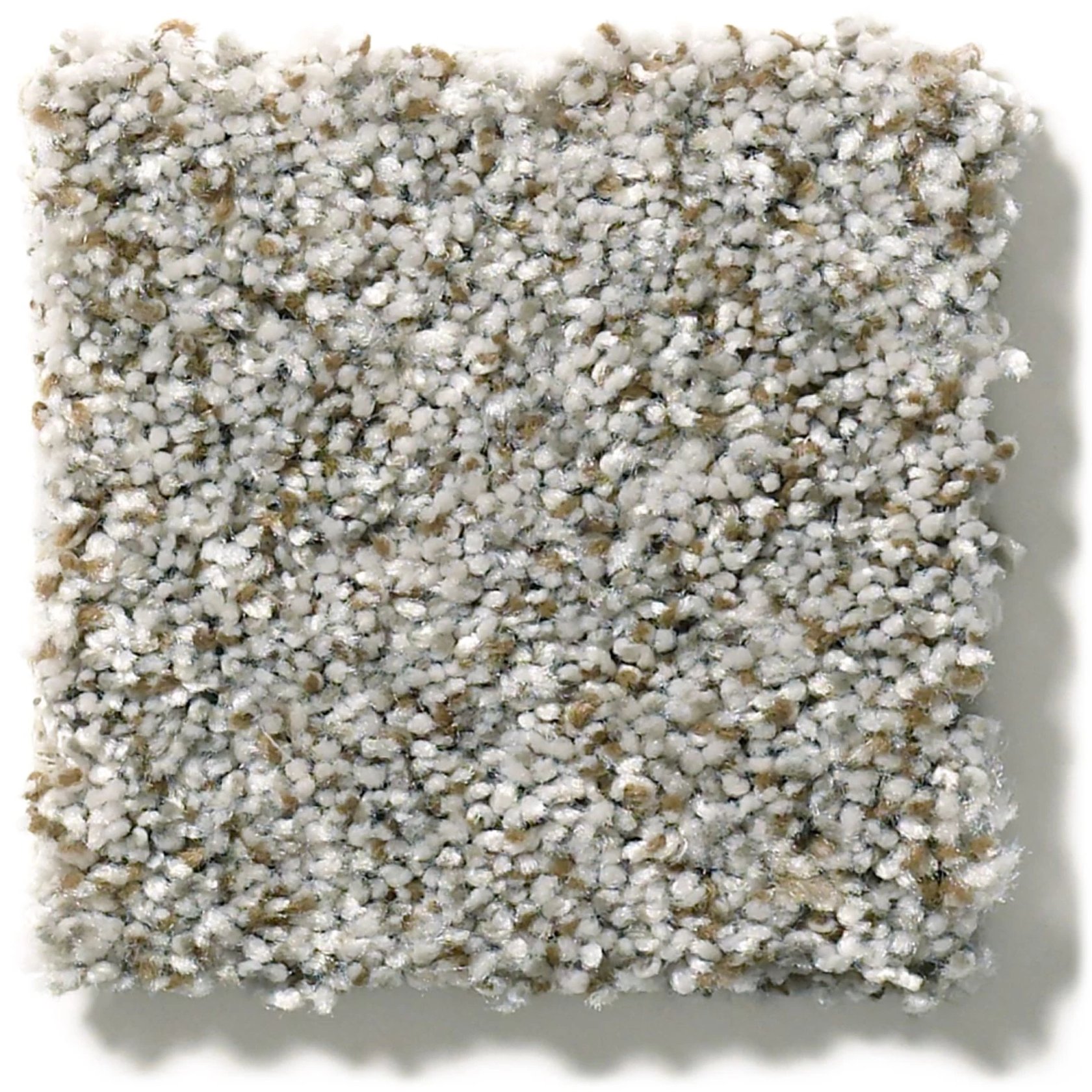 Shaw Floors Cabana Life – Stone (550)