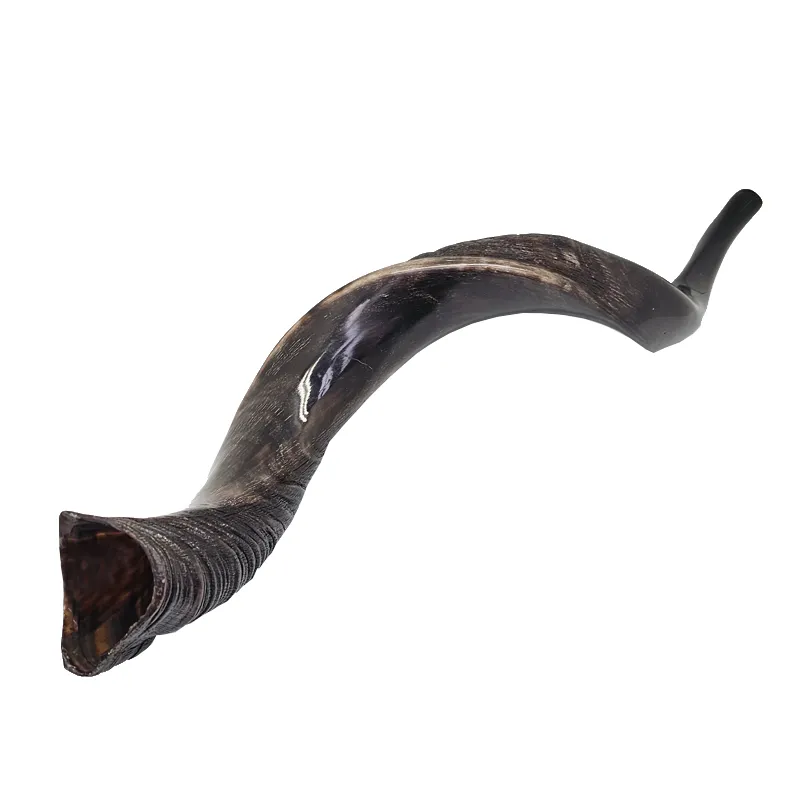 Yemenite Horn - Small 40 - 50cm