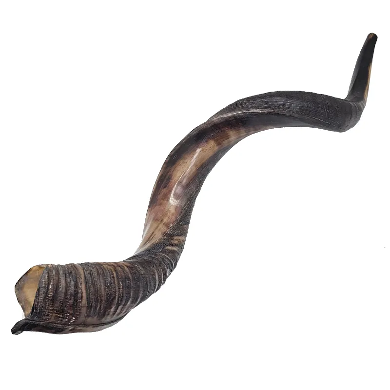 Yeminite Horn - XLarge 70 - 80cm
