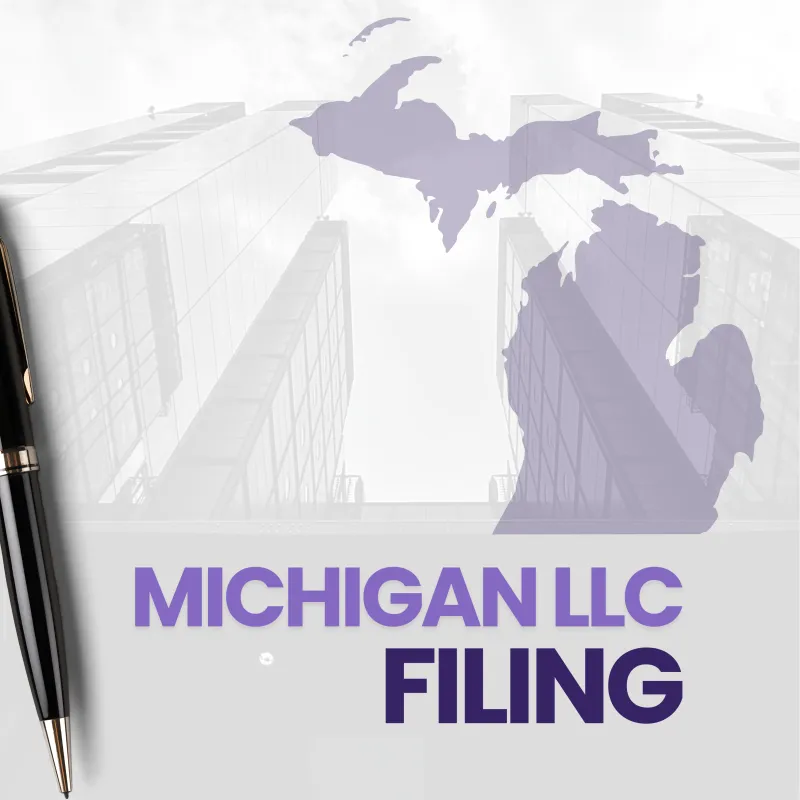 LLC Entity Filing Assistance