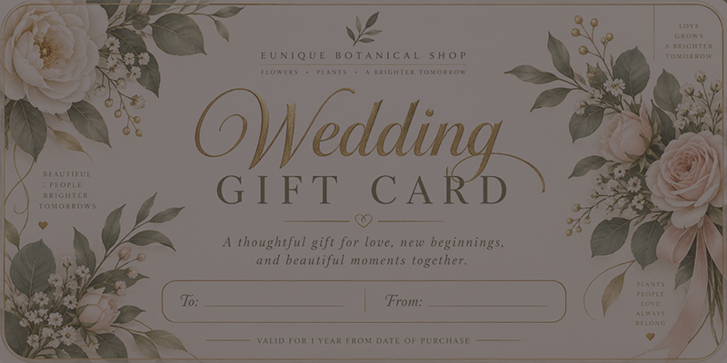 Wedding Gift Card
