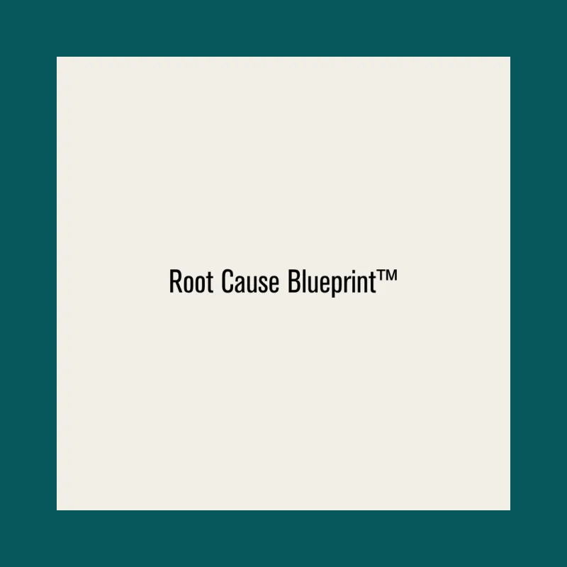 THE ROOT METHOD™ blueprint