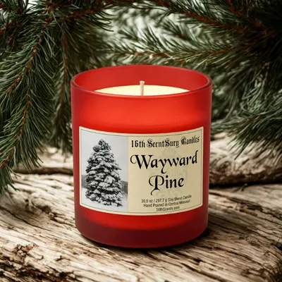 Wayward Pine 