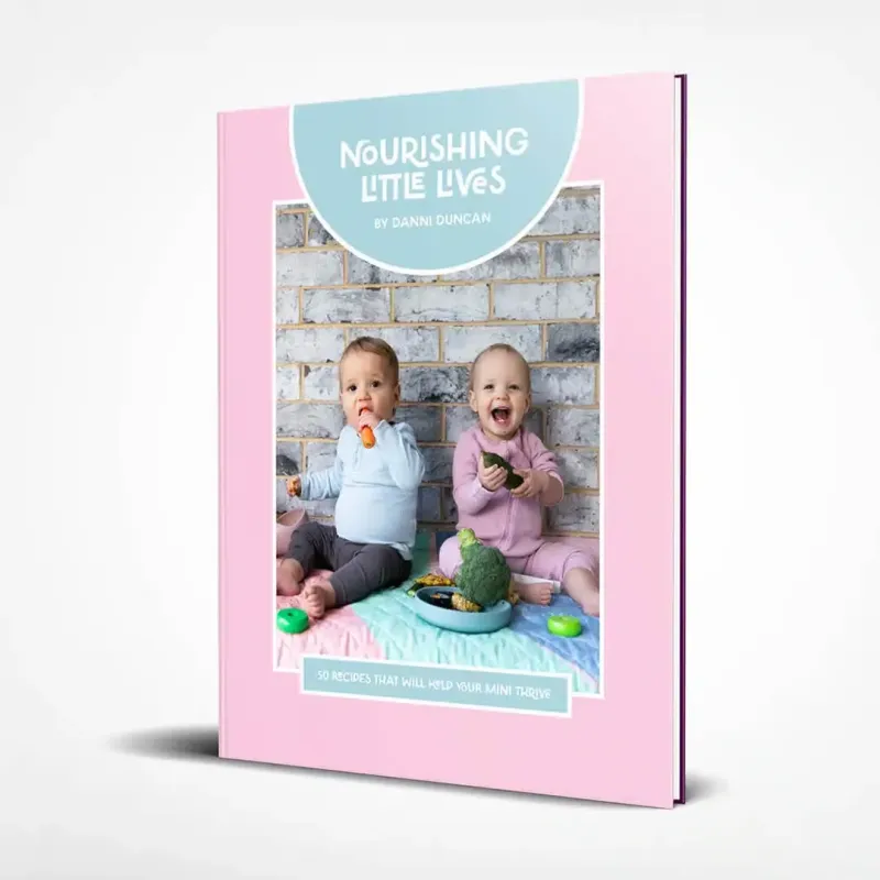 Nourishing Little Lives - Recipe Book