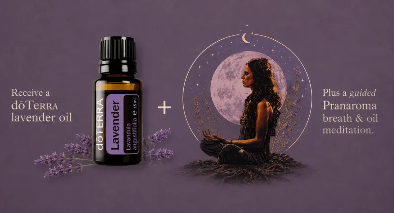 Lavender Meditation + Lavender Oil