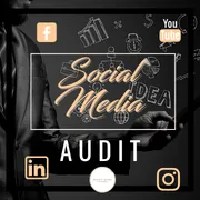 Agent Social Media Audit