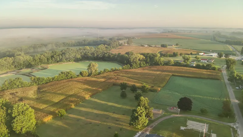aerial view