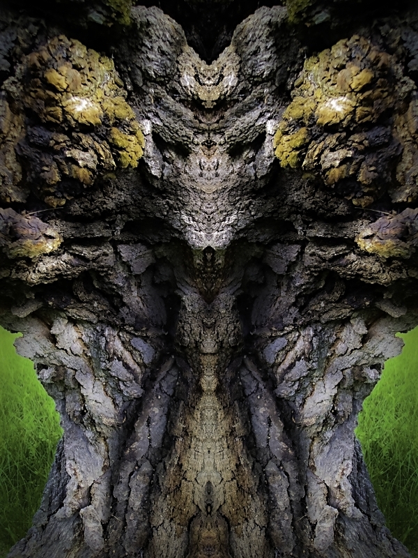 Pan