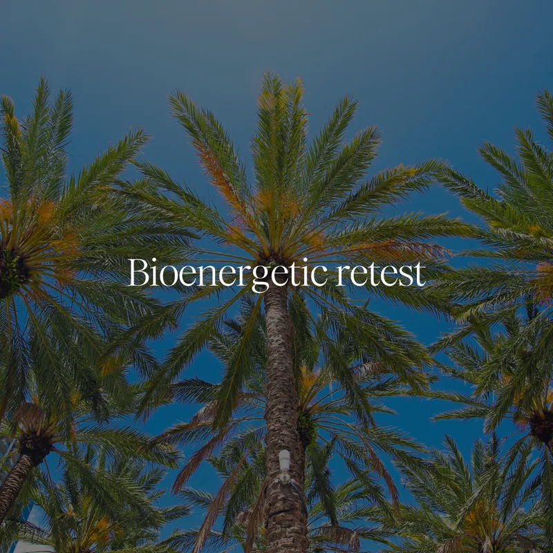Bioenergetic Retest