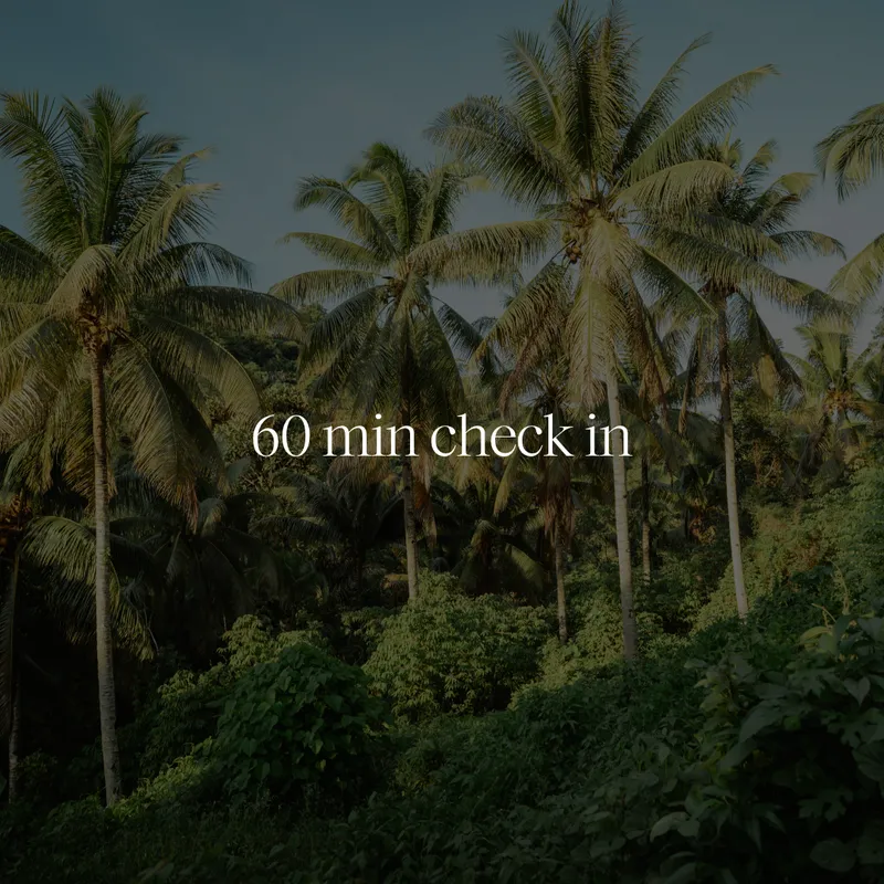 60 min check in call