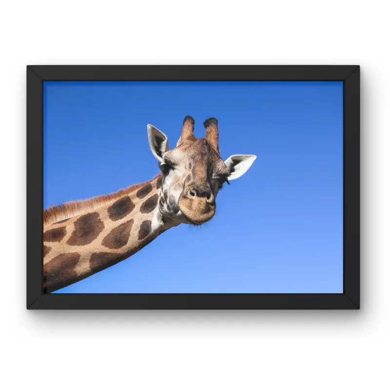 Hello Up There