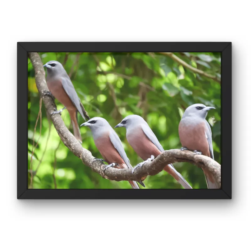 Four on a Branch