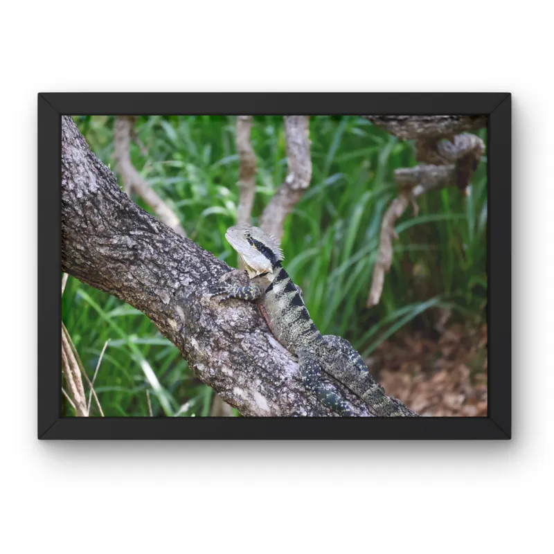 Tree Trunk Watch 