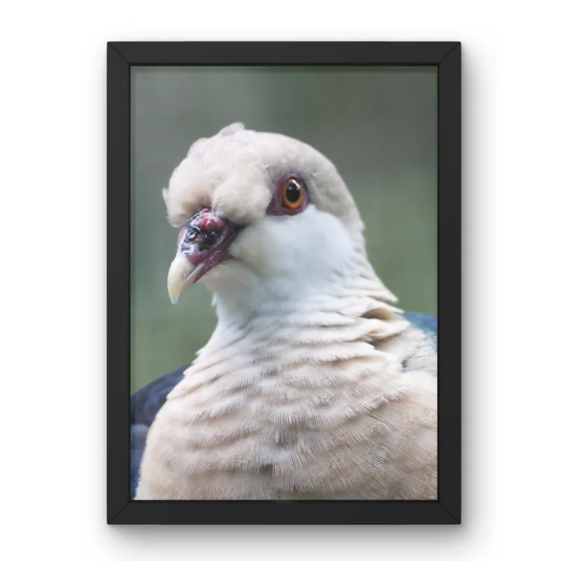 Copy of deh 12x16