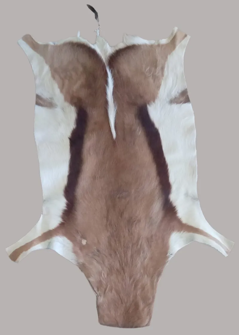 Springbuck Rug