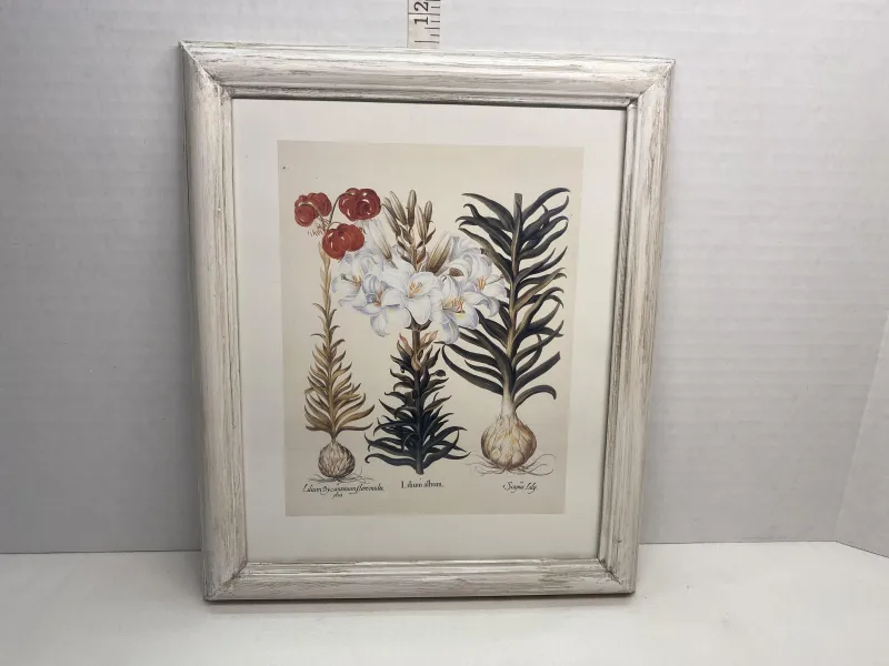Framed Vintage Lily Botanical Print - Rustic White Wood Frame (10" x 12")
