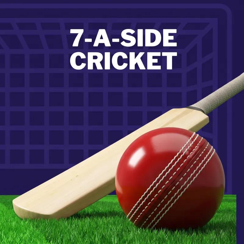 Indoor Cricket — LSF 2026 (team entry)