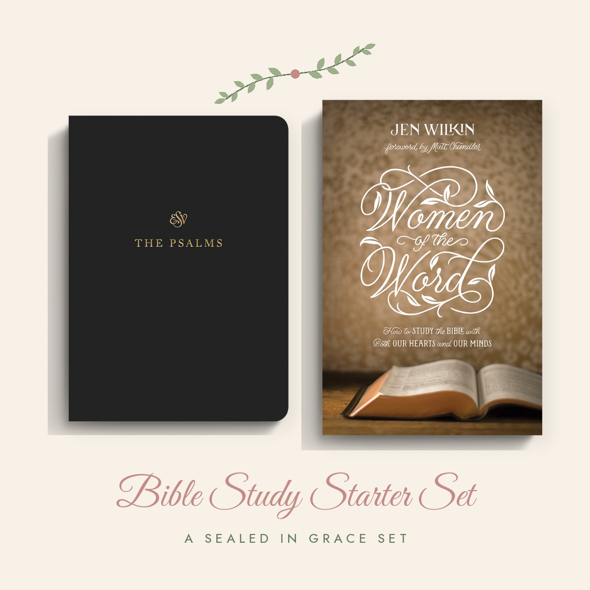 Bible Study Starter Set