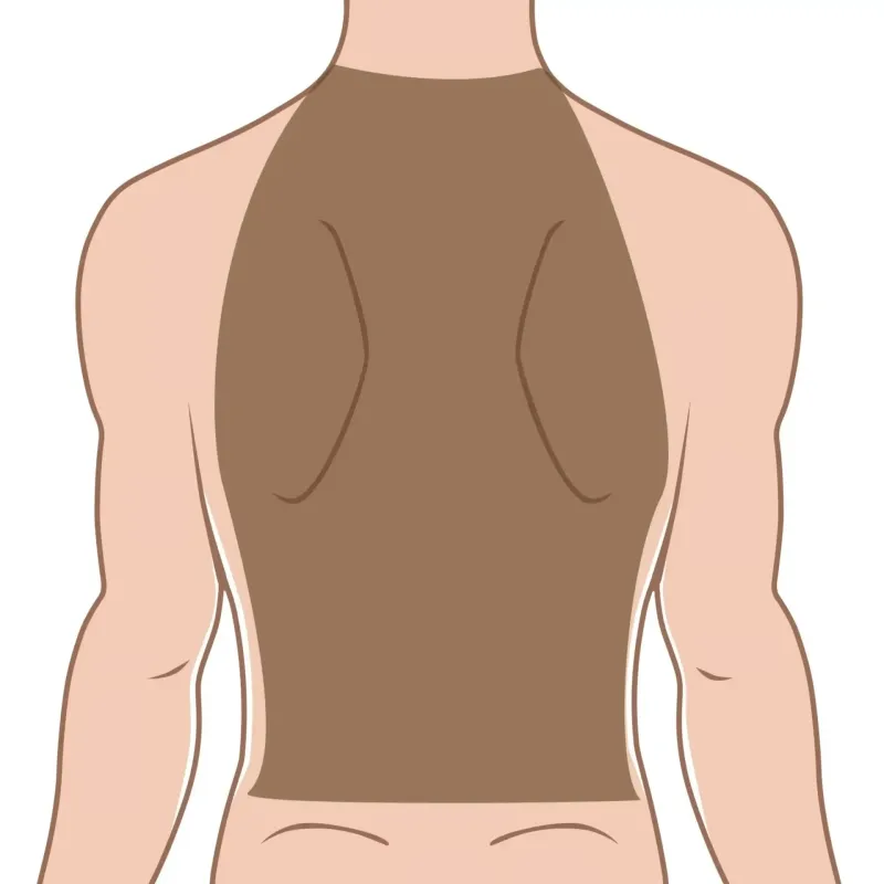 Espalda (Él)