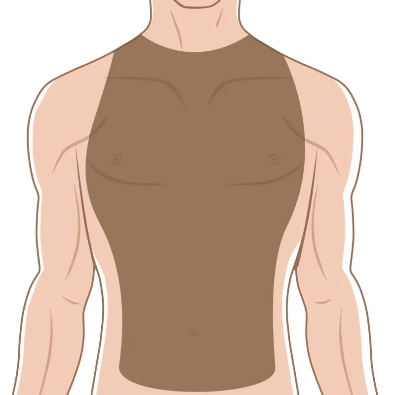 Pecho + Abdomen (Él)